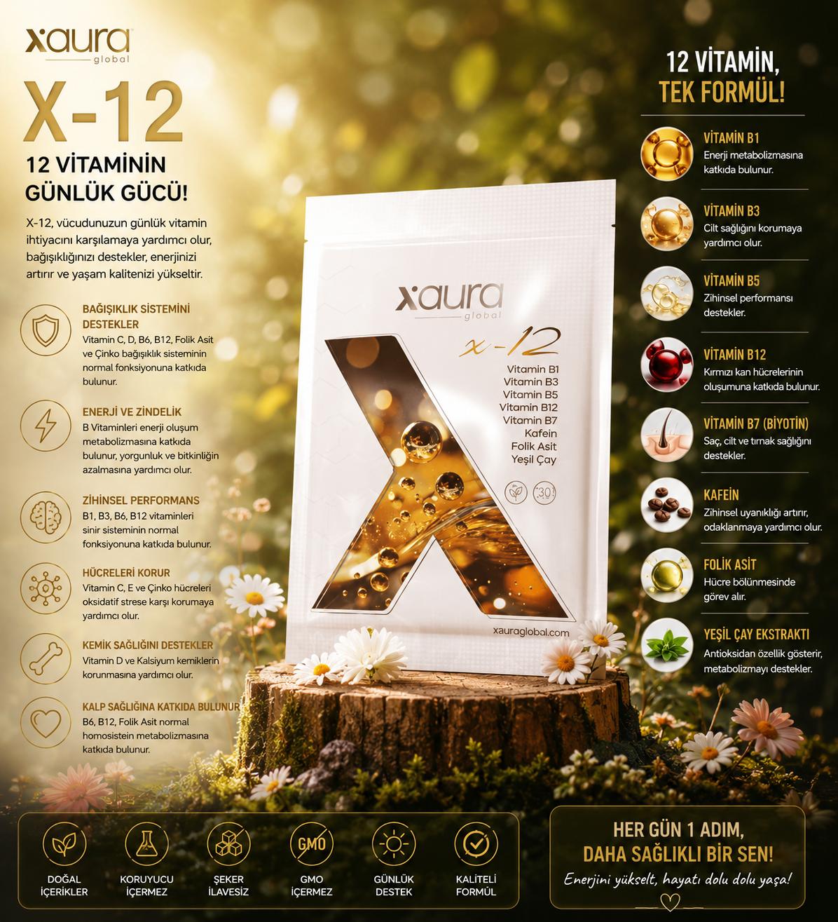 X-12